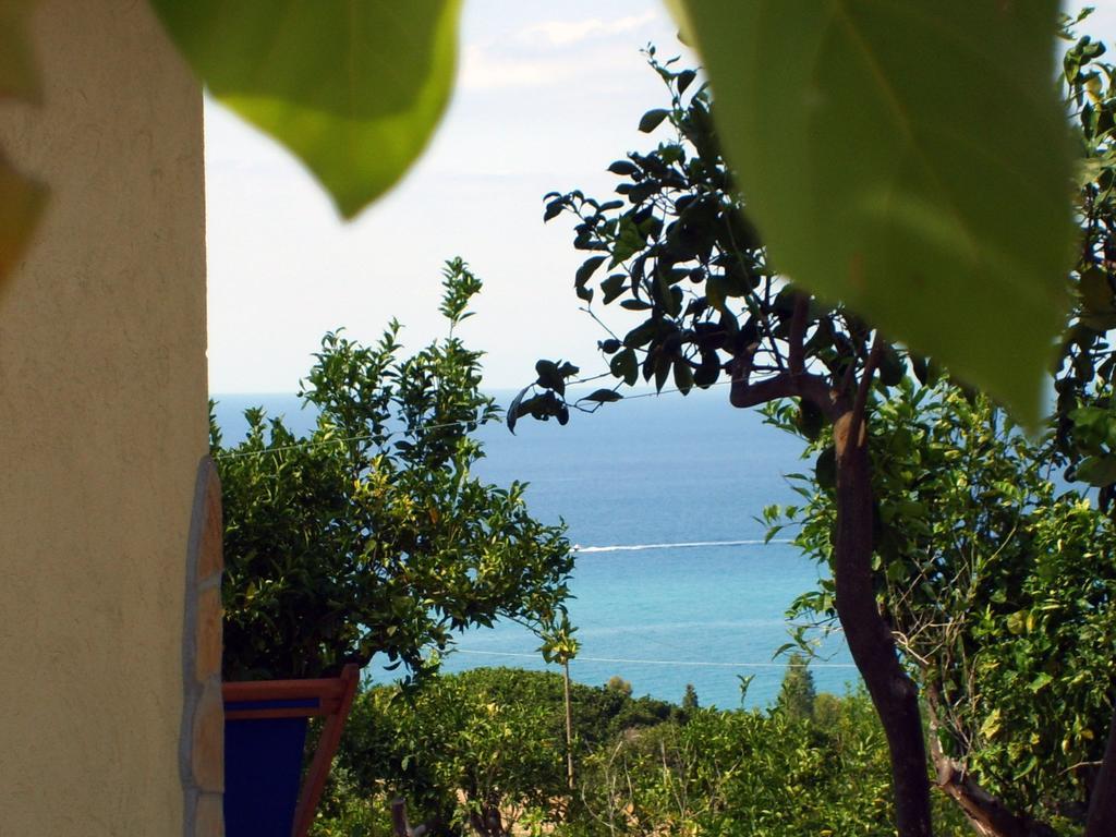 Goddess Yard Villa Tropea Exterior photo